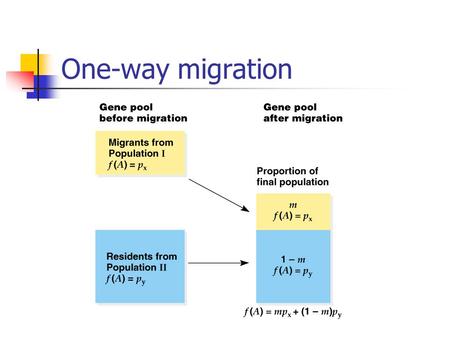 One-way migration. Migration There are two populations (x and y), each with a different frequency of A alleles (px and py). Assume migrants are from population.