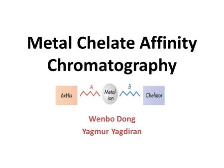 Metal Chelate Affinity Chromatography Wenbo Dong Yagmur Yagdiran.