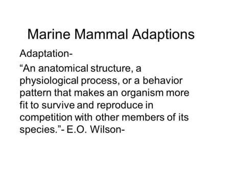 Marine Mammal Adaptions