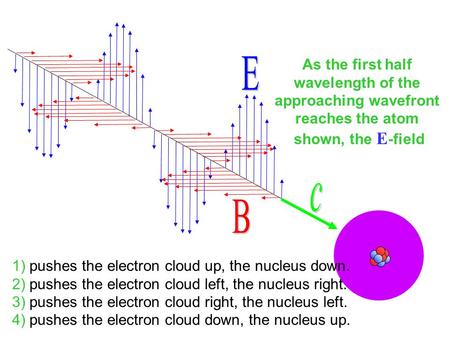 As the first half wavelength of the approaching wavefront reaches the atom shown, the E -field 1) pushes the electron cloud up, the nucleus down. 2) pushes.