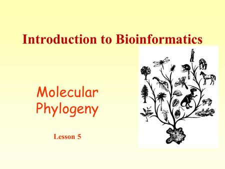 Introduction to Bioinformatics Molecular Phylogeny Lesson 5.