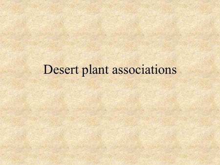 Desert plant associations. Announcements *we will leave in 1h from the start of the lab (22) and in 15 minutes (24) *the assignment for this lab is a.