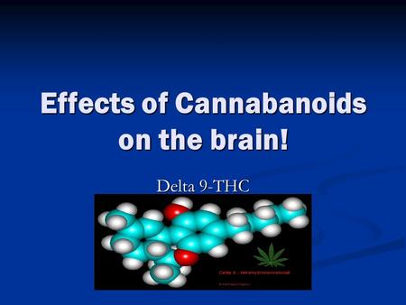 Effects of Cannabanoids on the brain! Delta 9-THC.