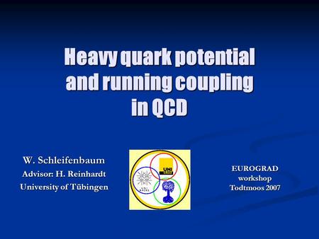 Heavy quark potential and running coupling in QCD W. Schleifenbaum Advisor: H. Reinhardt University of Tübingen EUROGRADworkshop Todtmoos 2007.