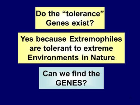 1 Do the “tolerance” Genes exist? Yes because Extremophiles are tolerant to extreme Environments in Nature Can we find the GENES?