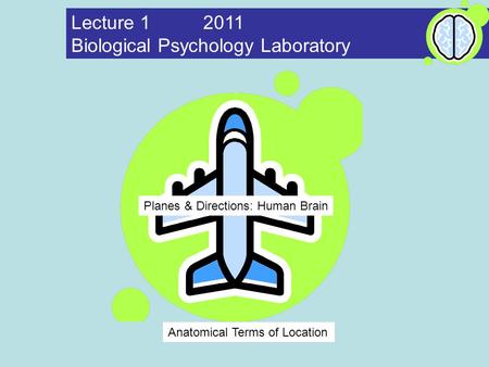 Biological Psychology Laboratory
