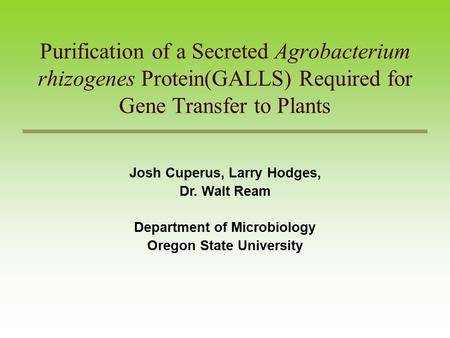Purification of a Secreted Agrobacterium rhizogenes Protein(GALLS) Required for Gene Transfer to Plants Josh Cuperus, Larry Hodges, Dr. Walt Ream Department.