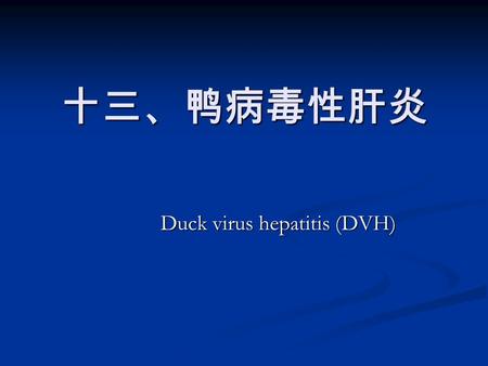 十三、鸭病毒性肝炎 Duck virus hepatitis (DVH). 鸭病毒性肝炎是小鸭的一种高度致 死性的病毒性传染病。其特征为发病急， 传播快，死亡率高。 表现为角弓反张， 病理变化为肝炎和出血。 鸭病毒性肝炎是小鸭的一种高度致 死性的病毒性传染病。其特征为发病急， 传播快，死亡率高。 表现为角弓反张，