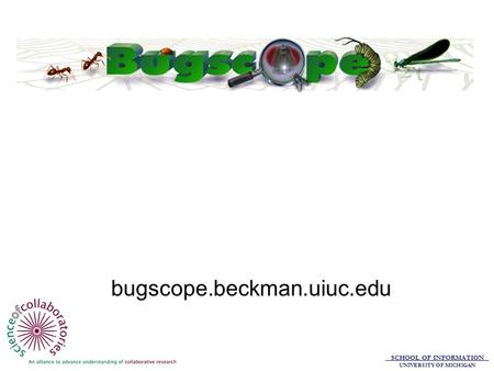 SCHOOL OF INFORMATION UNIVERSITY OF MICHIGAN bugscope.beckman.uiuc.edu.