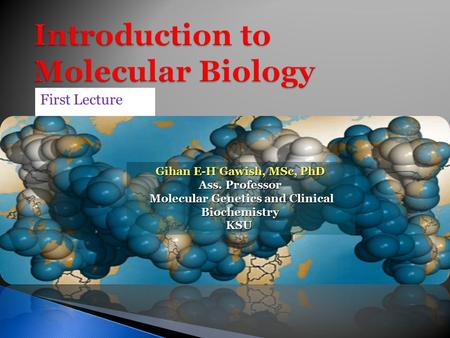 First Lecture Gihan E-H Gawish, MSc, PhD Ass. Professor Molecular Genetics and Clinical Biochemistry Molecular Genetics and Clinical BiochemistryKSU.