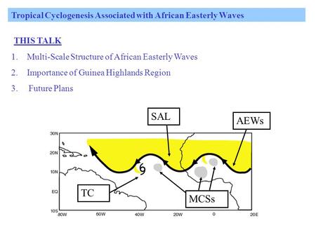Tropical Cyclogenesis Associated with African Easterly Waves THIS TALK 1.Multi-Scale Structure of African Easterly Waves 2.Importance of Guinea Highlands.