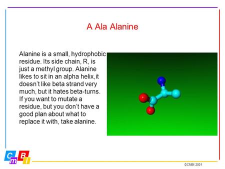 ©CMBI 2001 A Ala Alanine Alanine is a small, hydrophobic residue. Its side chain, R, is just a methyl group. Alanine likes to sit in an alpha helix,it.