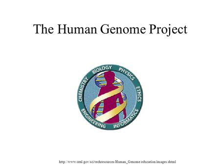 The Human Genome Project