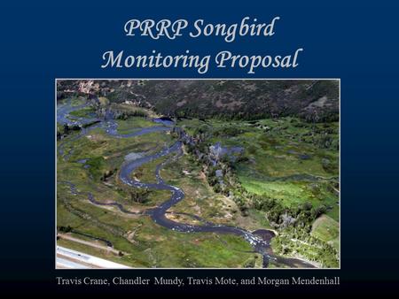 PRRP Songbird Monitoring Proposal Travis Crane, Chandler Mundy, Travis Mote, and Morgan Mendenhall.
