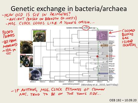 Genetic exchange in bacteria/archaea OEB 192 – 10.09.20 (Worobey et al., 2010, last Friday)