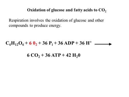 Oxidation of glucose and fatty acids to CO 2 Respiration involves the oxidation of glucose and other compounds to produce energy. C 6 H 12 O 6 + 6 0 2.