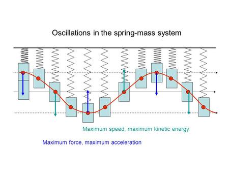 Oscillations in the spring-mass system Maximum speed, maximum kinetic energy Maximum force, maximum acceleration.