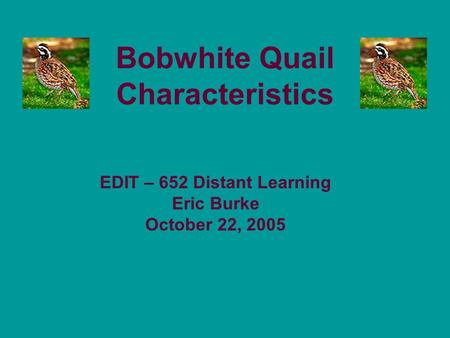 Bobwhite Quail Characteristics EDIT – 652 Distant Learning Eric Burke October 22, 2005.
