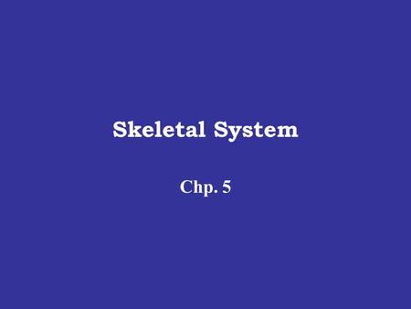 Skeletal System Chp. 5. Recall that connective tissue consists of a matrix with cells suspended w/in it--the type of matrix & cells determine type of.