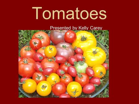 Tomatoes Presented by Kelly Carey.