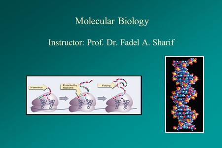 Instructor: Prof. Dr. Fadel A. Sharif