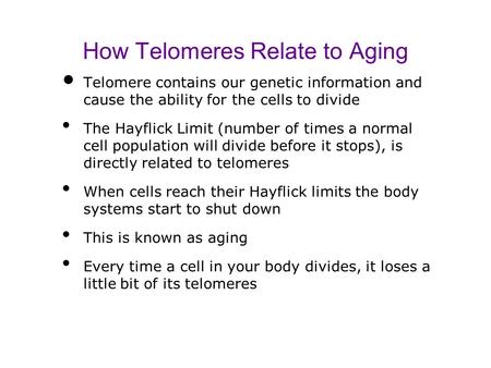 How Telomeres Relate to Aging Telomere contains our genetic information and cause the ability for the cells to divide The Hayflick Limit (number of times.