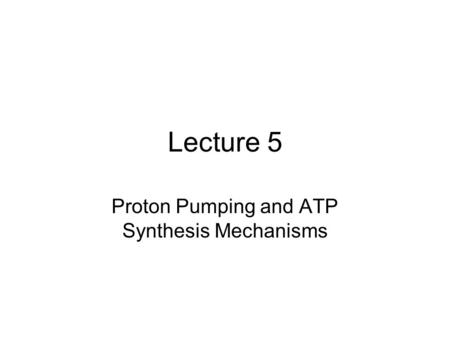 Lecture 5 Proton Pumping and ATP Synthesis Mechanisms.
