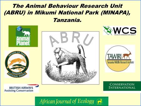 The Animal Behaviour Research Unit (ABRU) in Mikumi National Park (MINAPA), Tanzania.