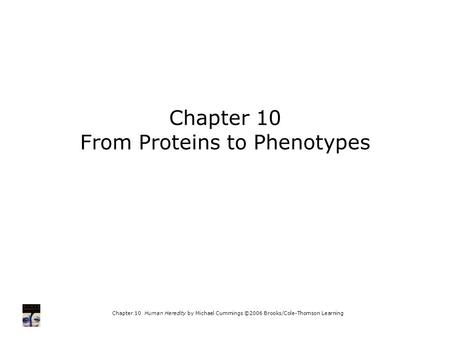 Chapter 10 From Proteins to Phenotypes