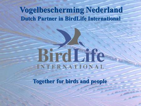 Vogelbescherming Nederland Dutch Partner in BirdLife International Together for birds and people.