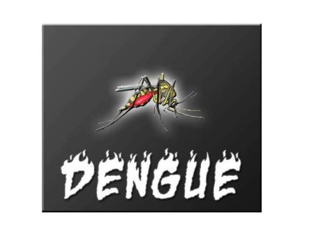 Aedes aegypti, the mosquito that spreads Dengue fever.