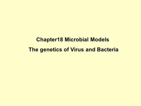 Chapter18 Microbial Models The genetics of Virus and Bacteria.