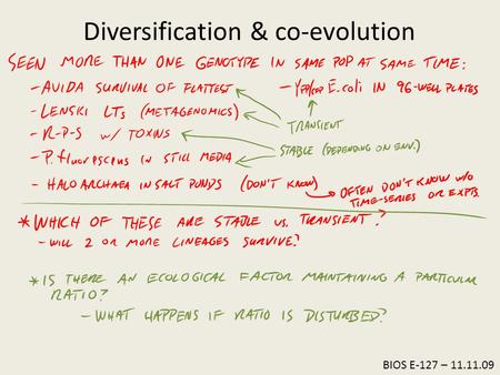 BIOS E-127 – 11.11.09 Diversification & co-evolution.