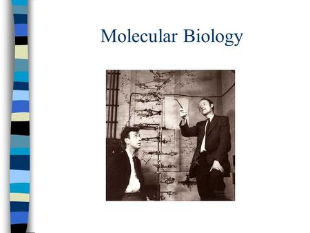 Molecular Biology.
