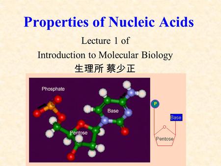 Properties of Nucleic Acids Lecture 1 of Introduction to Molecular Biology 生理所 蔡少正.