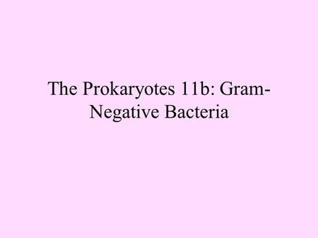 The Prokaryotes 11b: Gram- Negative Bacteria