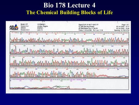 Bio 178 Lecture 4 The Chemical Building Blocks of Life.
