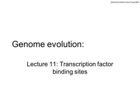 Genome Evolution. Amos Tanay 2009 Genome evolution: Lecture 11: Transcription factor binding sites.