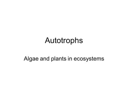 Autotrophs Algae and plants in ecosystems. “Are blue-green algae phytoplankton?” Phylogenetic Functional Functional: Plankton- freely floating, carried.