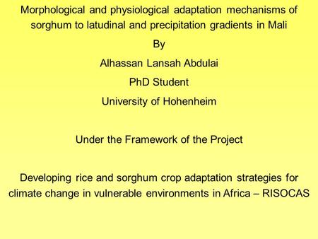 Morphological and physiological adaptation mechanisms of sorghum to latudinal and precipitation gradients in Mali By Alhassan Lansah Abdulai PhD Student.