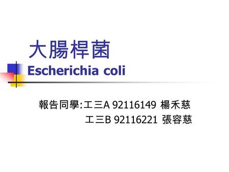 大腸桿菌 Escherichia coli 報告同學 : 工三 A 92116149 楊禾慈 工三 B 92116221 張容慈.