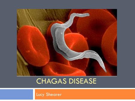 CHAGAS DISEASE Lucy Shearer. Carlos Chagas discovered the disease in 1909 © Oswaldo Cruz House - Fiocruz.