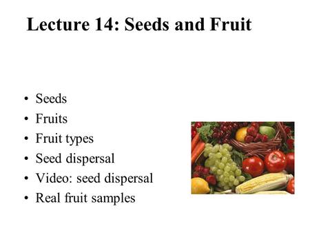 Lecture 14: Seeds and Fruit