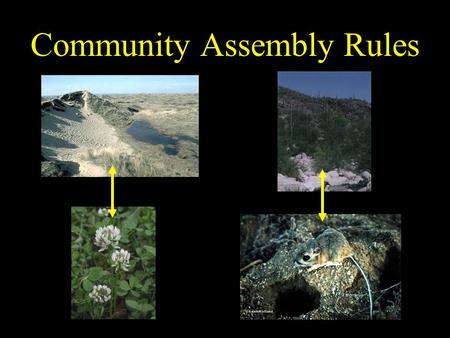Community Assembly Rules