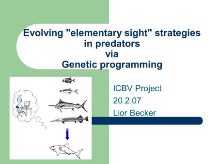 Evolving elementary sight strategies in predators via Genetic programming ICBV Project 20.2.07 Lior Becker.