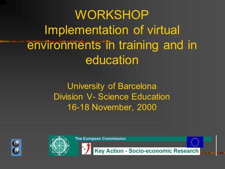 WORKSHOP Implementation of virtual environments in training and in education University of Barcelona Division V- Science Education 16-18 November, 2000.
