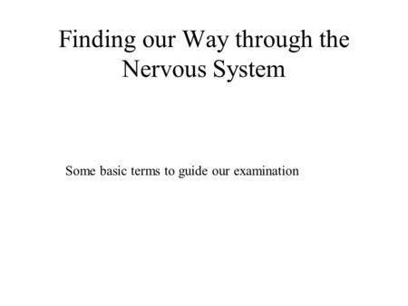 Finding our Way through the Nervous System Some basic terms to guide our examination.