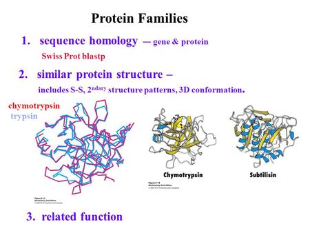 Protein Families sequence homology ― gene & protein Swiss Prot blastp