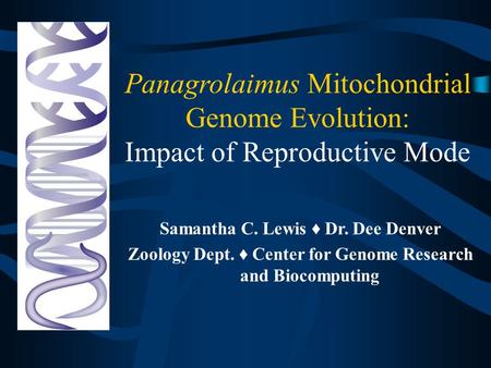 Panagrolaimus Mitochondrial Genome Evolution: Impact of Reproductive Mode Samantha C. Lewis ♦ Dr. Dee Denver Zoology Dept. ♦ Center for Genome Research.