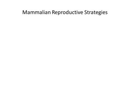 Mammalian Reproductive Strategies. Prototheria (monotremes)